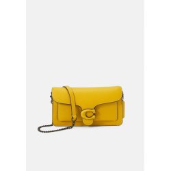 Coach POLISHED PEBBLE TABBY CHAIN